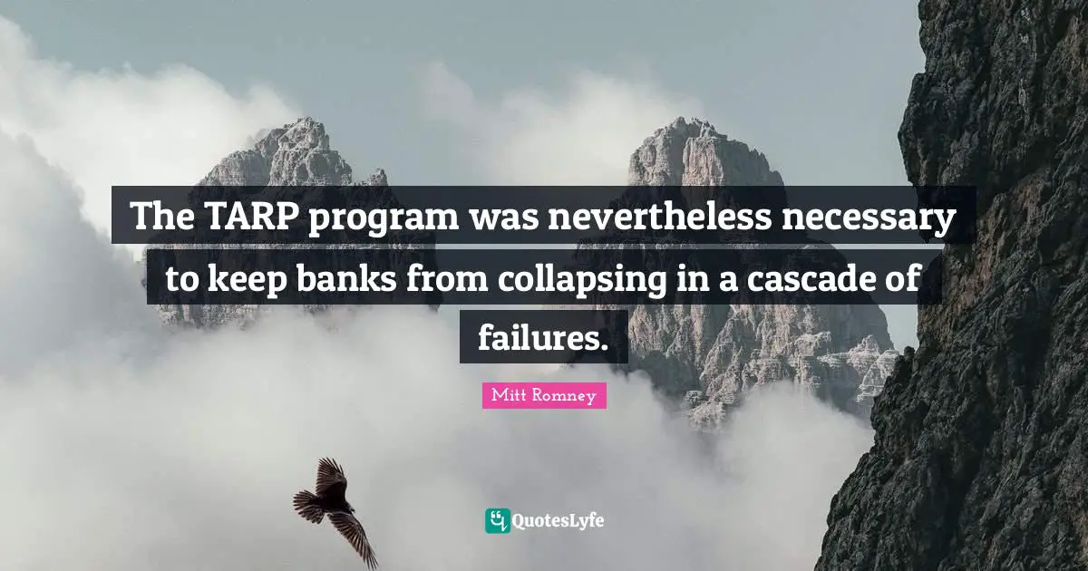 The TARP program was nevertheless necessary to keep banks from collapsing in a cascade of failures.