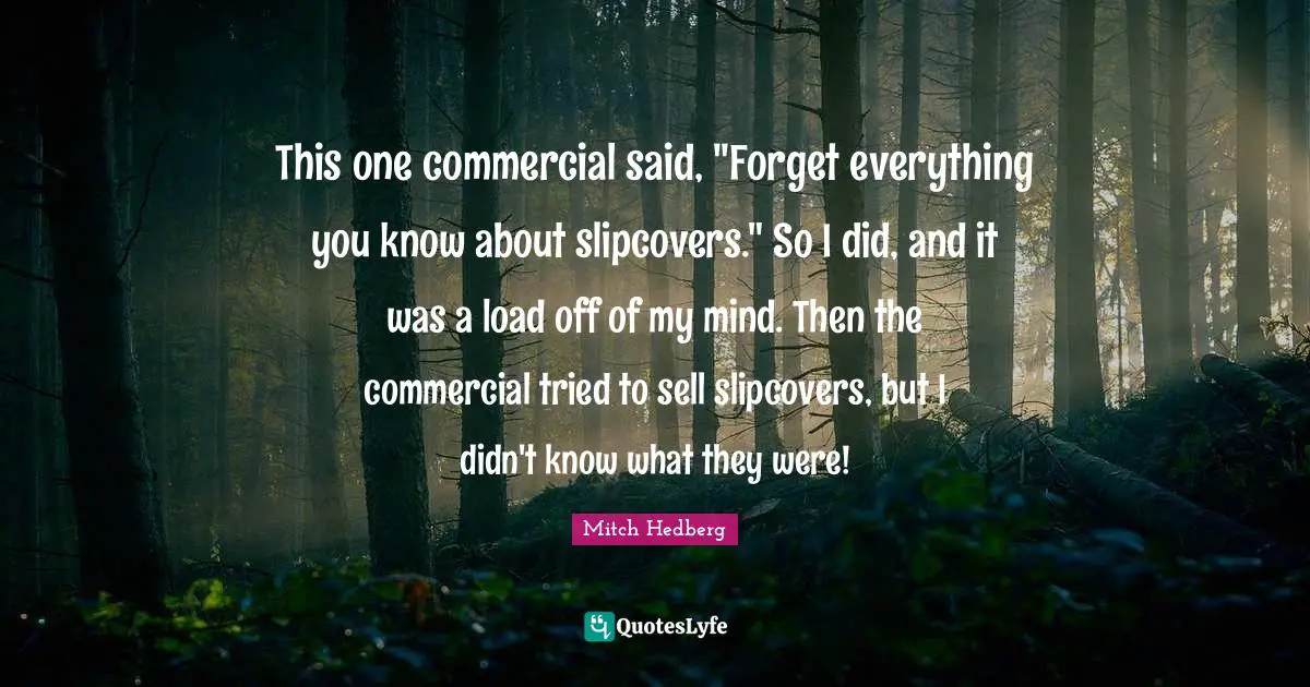 This one commercial said, "Forget everything you know about slipcovers." So I did, and it was a load off of my mind. Then the commercial tried to sell slipcovers, but I didn't know what they were!