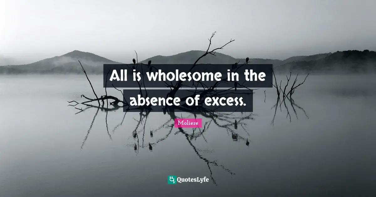 All is wholesome in the absence of excess.
