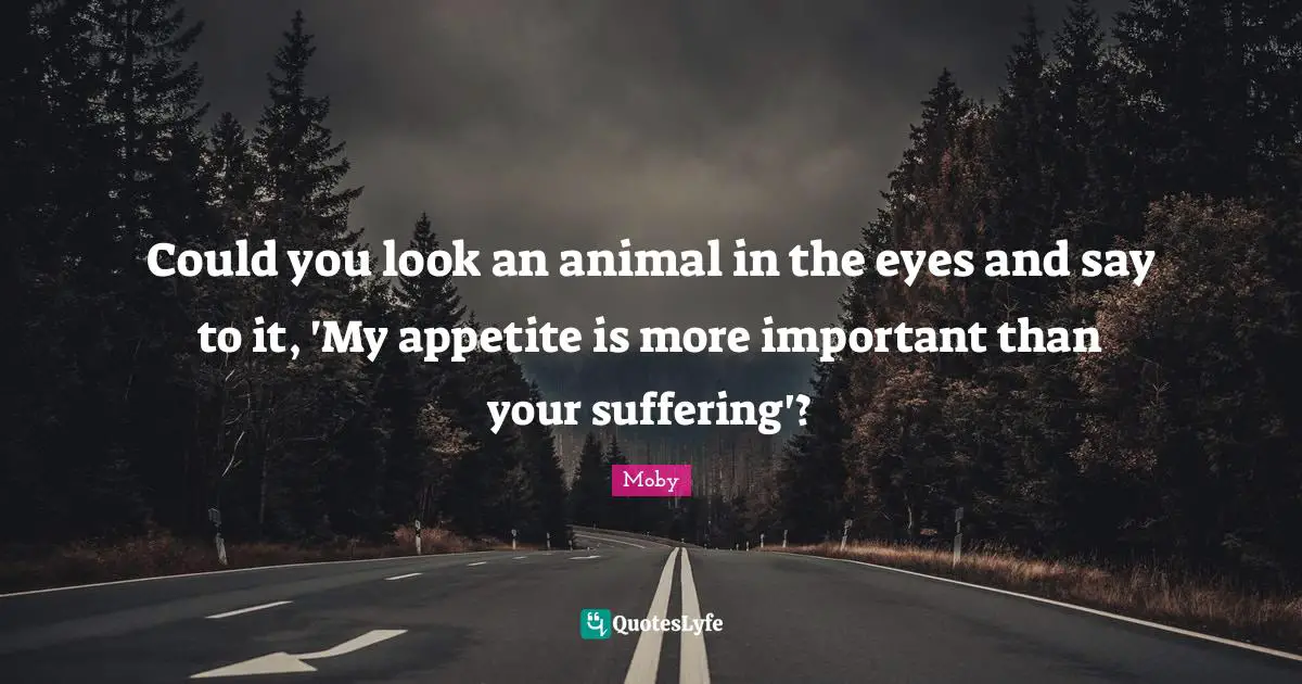Moby Quotes: "Could you look an animal in the eyes and say to it, 'My appetite is more important than your suffering'?"