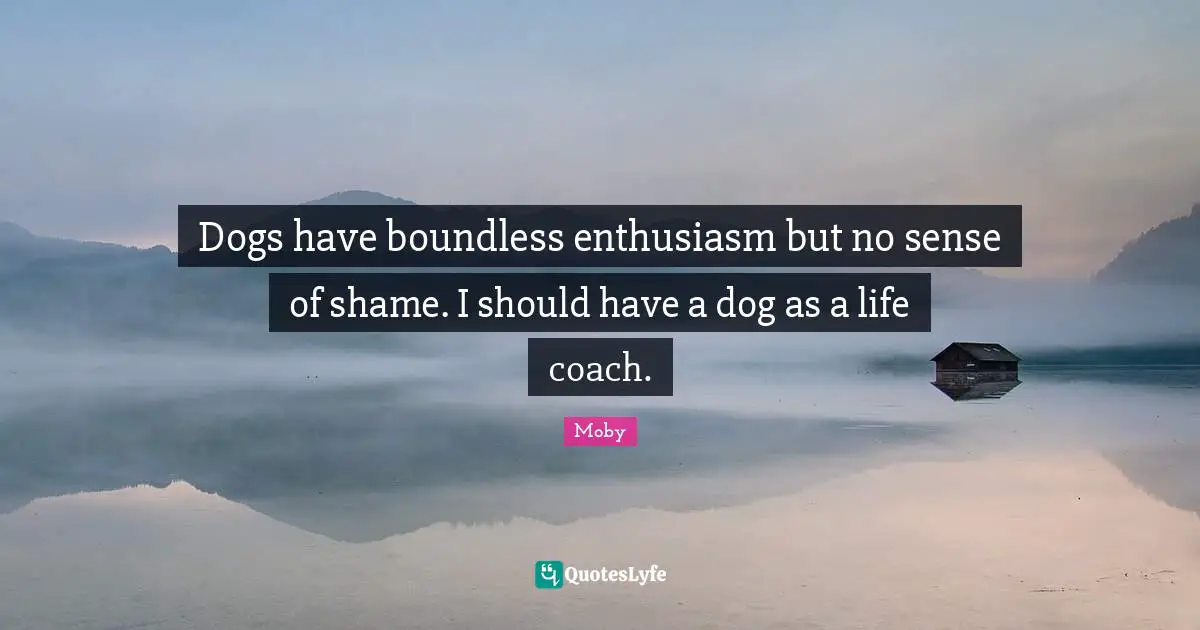 Boundless Quotes: "Dogs have boundless enthusiasm but no sense of shame. I should have a dog as a life coach."