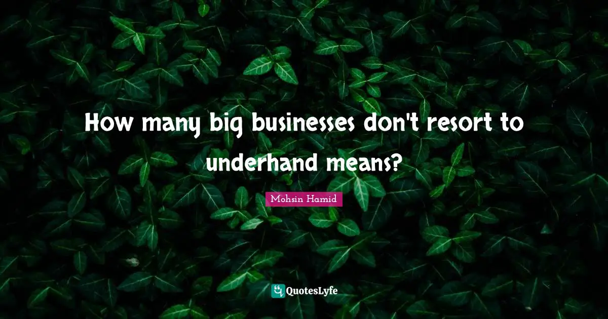 Mohsin Hamid Quotes: "How many big businesses don't resort to underhand means?"