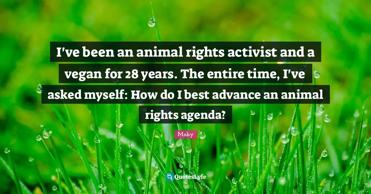 I've been an animal rights activist and a vegan for 28 years. The entire time, I've asked myself: How do I best advance an animal rights agenda?