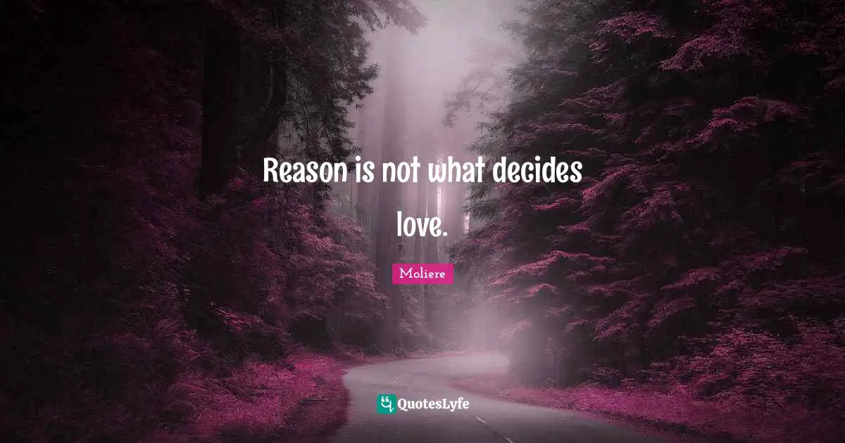 Reason is not what decides love.