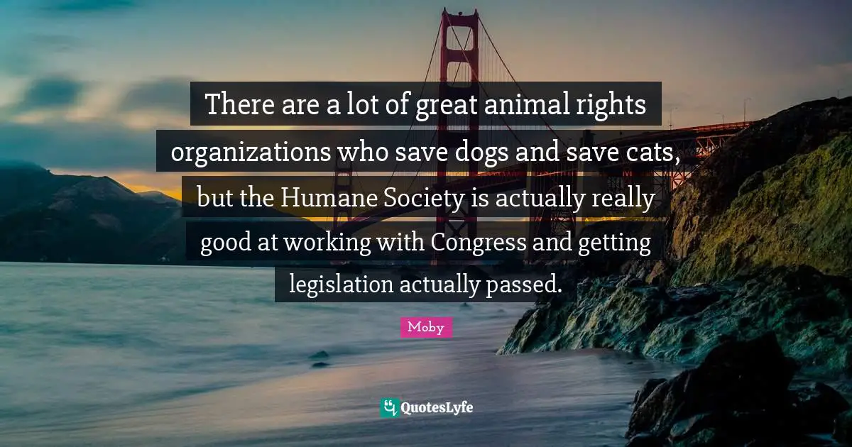 Humane Quotes: "There are a lot of great animal rights organizations who save dogs and save cats, but the Humane Society is actually really good at working with Congress and getting legislation actually passed."