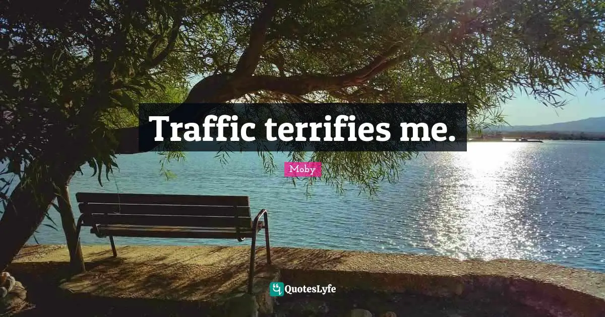 Traffic terrifies me.