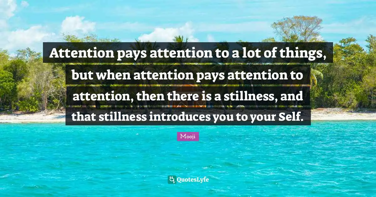 Attention pays attention to a lot of things, but when attention pays attention to attention, then there is a stillness, and that stillness introduces you to your Self.