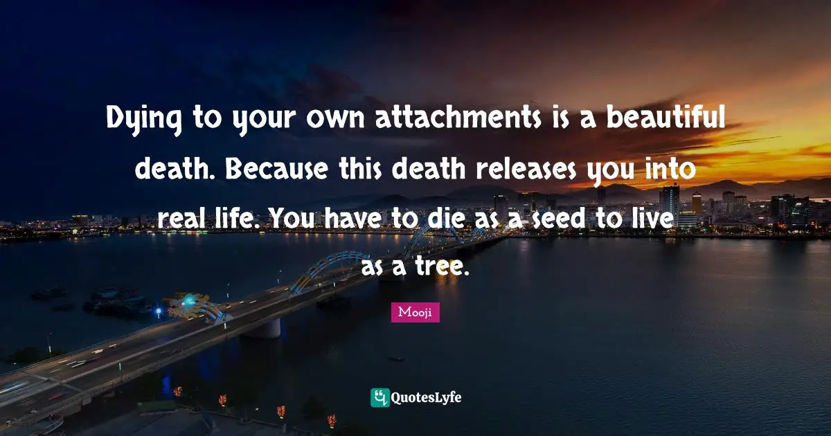 Attachment Quotes: "Dying to your own attachments is a beautiful death. Because this death releases you into real life. You have to die as a seed to live as a tree."