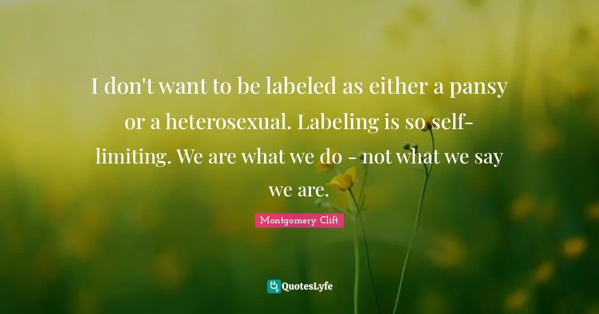 I don't want to be labeled as either a pansy or a heterosexual. Labeling is so self-limiting. We are what we do - not what we say we are.