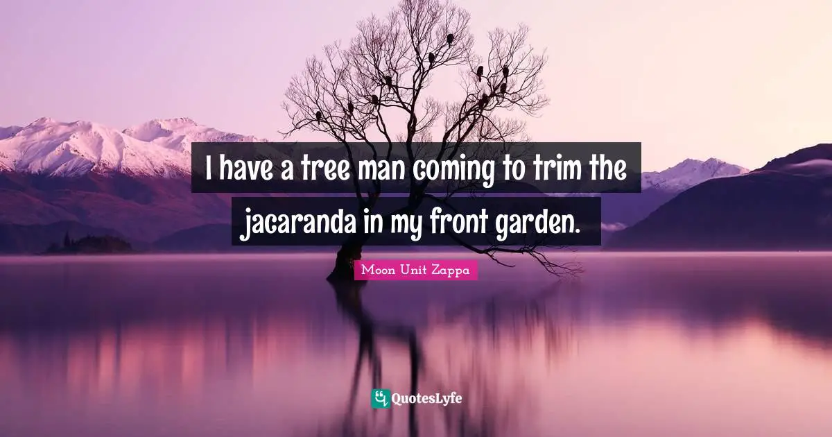 I have a tree man coming to trim the jacaranda in my front garden.