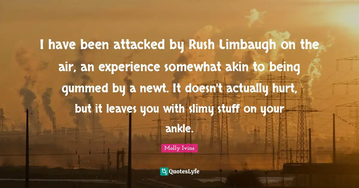 I have been attacked by Rush Limbaugh on the air, an experience somewhat akin to being gummed by a newt. It doesn't actually hurt, but it leaves you with slimy stuff on your ankle.
