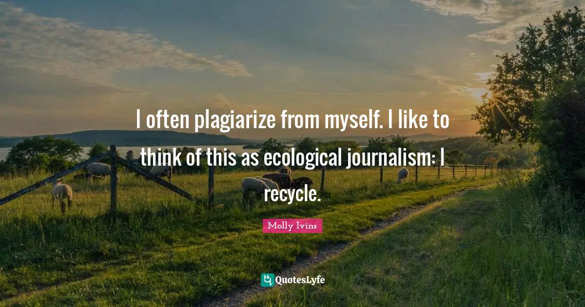 I often plagiarize from myself. I like to think of this as ecological journalism: I recycle.