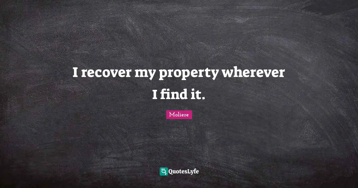 I recover my property wherever I find it.