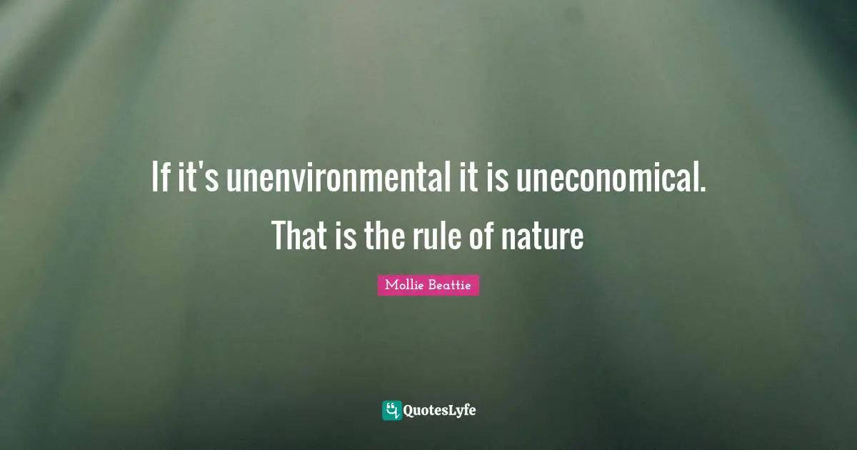 If it's unenvironmental it is uneconomical. That is the rule of nature