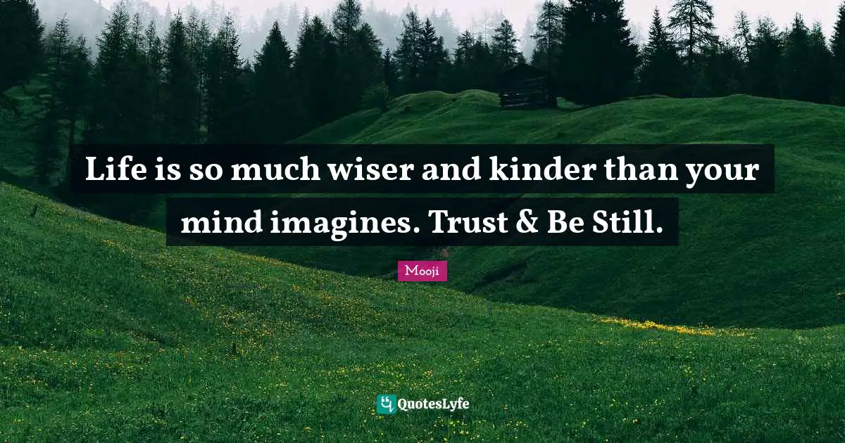 Wiser Quotes: "Life is so much wiser and kinder than your mind imagines. Trust & Be Still."