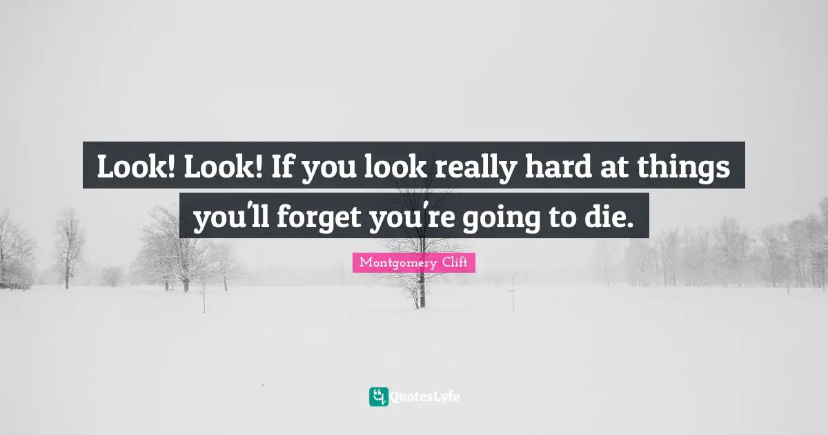 Look! Look! If you look really hard at things you'll forget you're going to die.