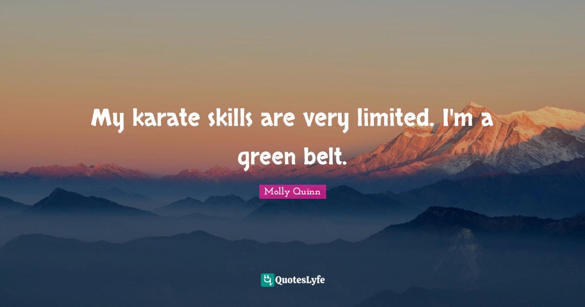 My karate skills are very limited. I'm a green belt.