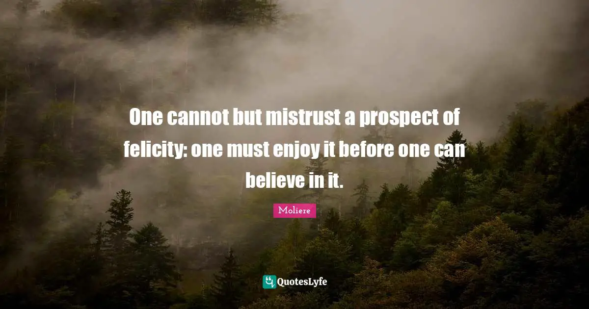 One cannot but mistrust a prospect of felicity: one must enjoy it before one can believe in it.