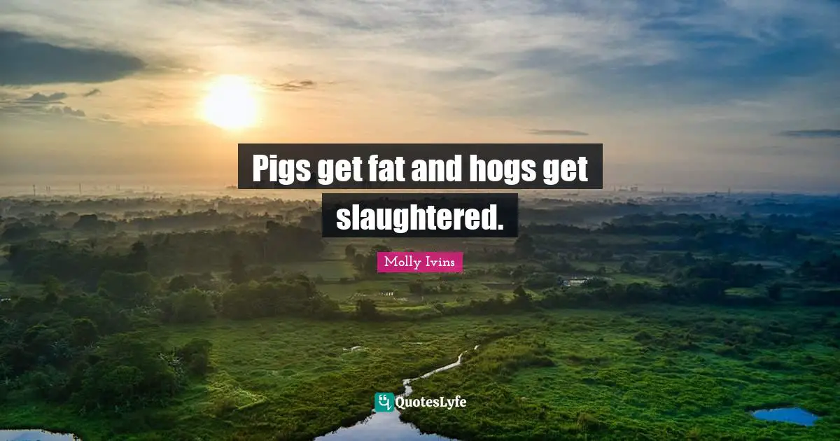 Hog Quotes: "Pigs get fat and hogs get slaughtered."