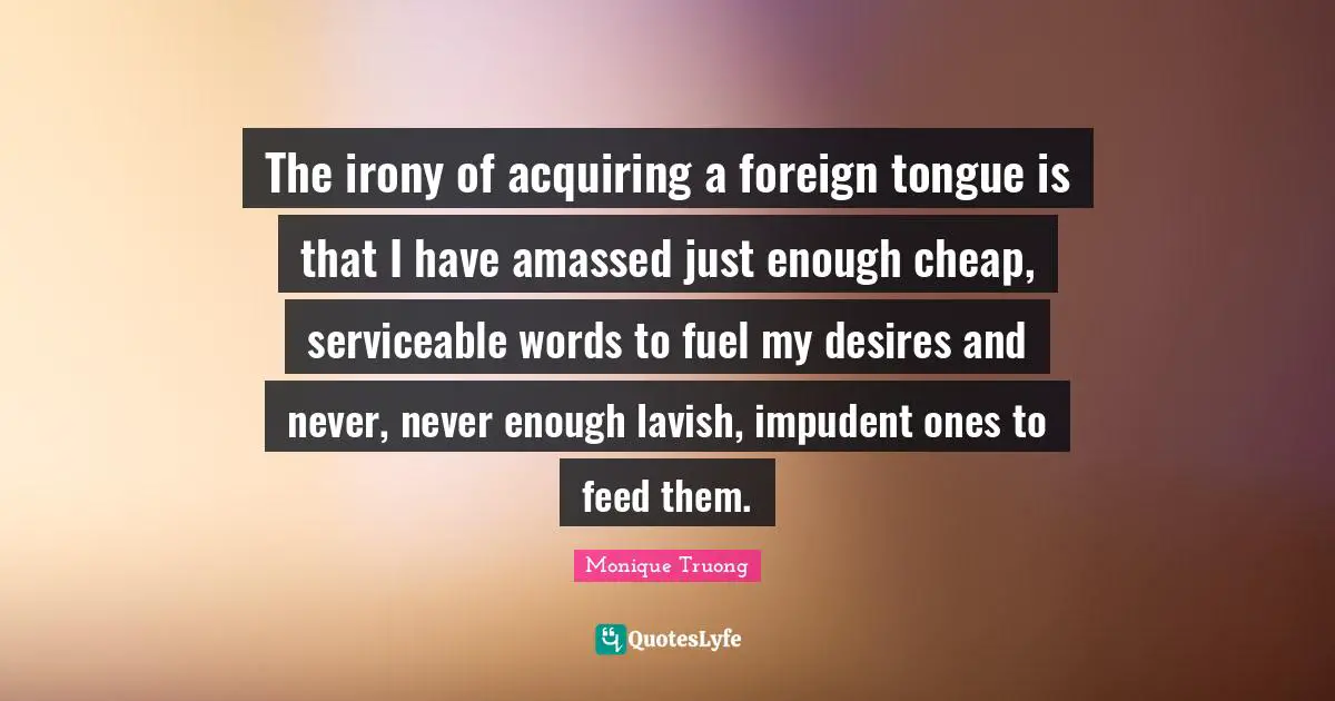 The irony of acquiring a foreign tongue is that I have amassed just enough cheap, serviceable words to fuel my desires and never, never enough lavish, impudent ones to feed them.