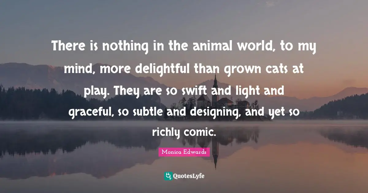 Monica Edwards Quotes: "There is nothing in the animal world, to my mind, more delightful than grown cats at play. They are so swift and light and graceful, so subtle and designing, and yet so richly comic."