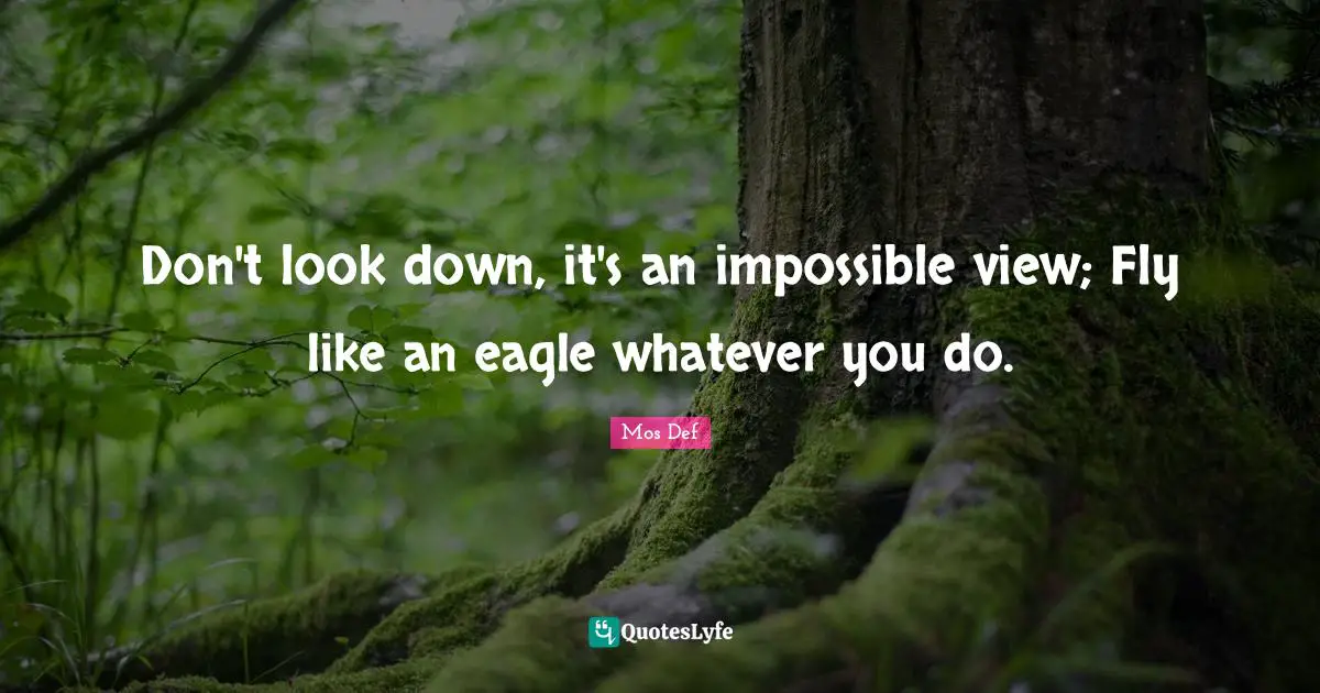 Don't look down, it's an impossible view; Fly like an eagle whatever you do.