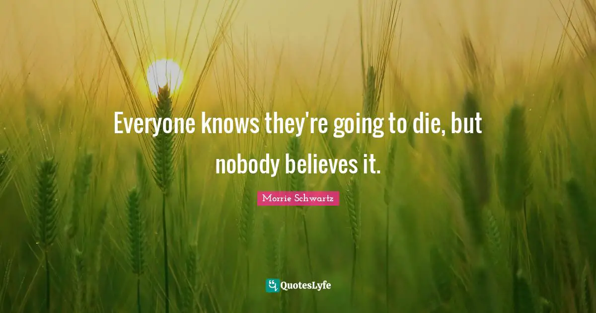 Everyone knows they're going to die, but nobody believes it.