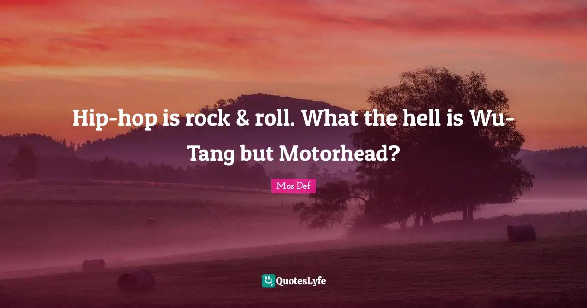 Hip-hop is rock & roll. What the hell is Wu-Tang but Motorhead?