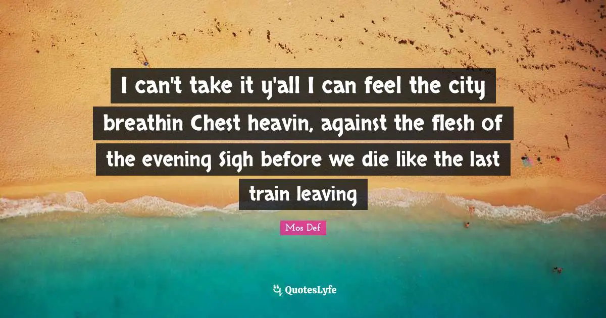 I can't take it y'all I can feel the city breathin Chest heavin, against the flesh of the evening Sigh before we die like the last train leaving
