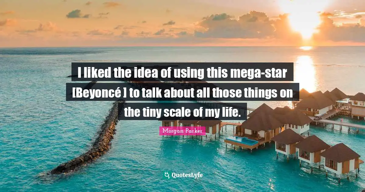 I liked the idea of using this mega-star [Beyoncé ] to talk about all those things on the tiny scale of my life.