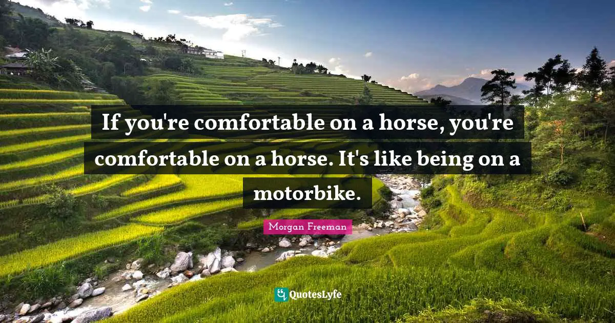 If you're comfortable on a horse, you're comfortable on a horse. It's like being on a motorbike.