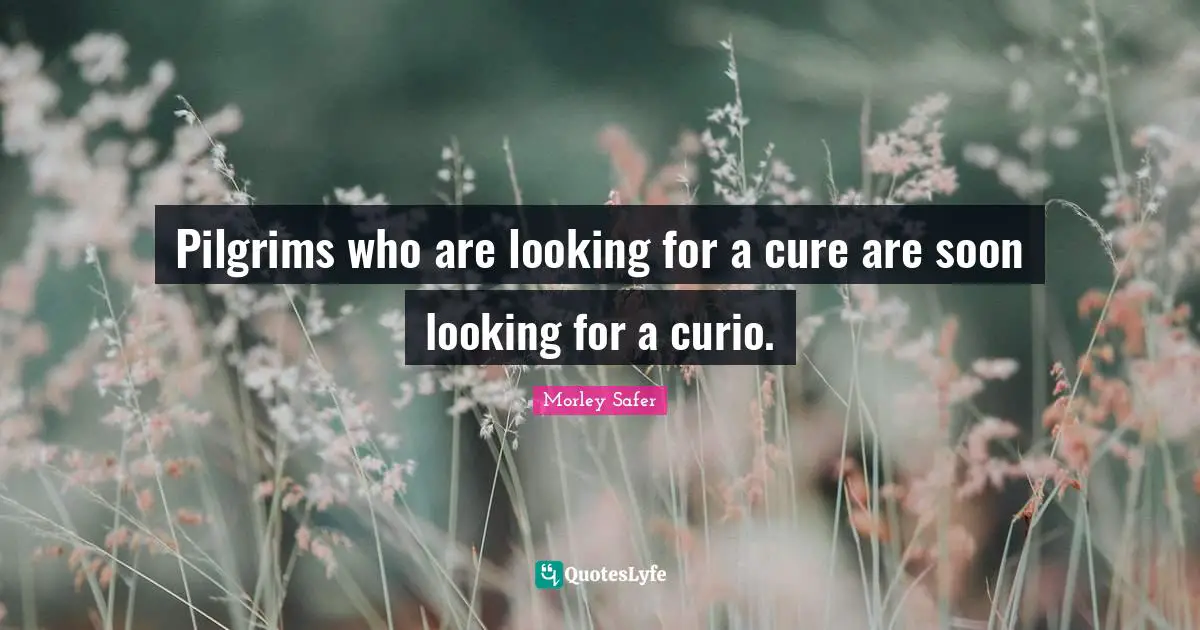 Morley Safer Quotes: "Pilgrims who are looking for a cure are soon looking for a curio."