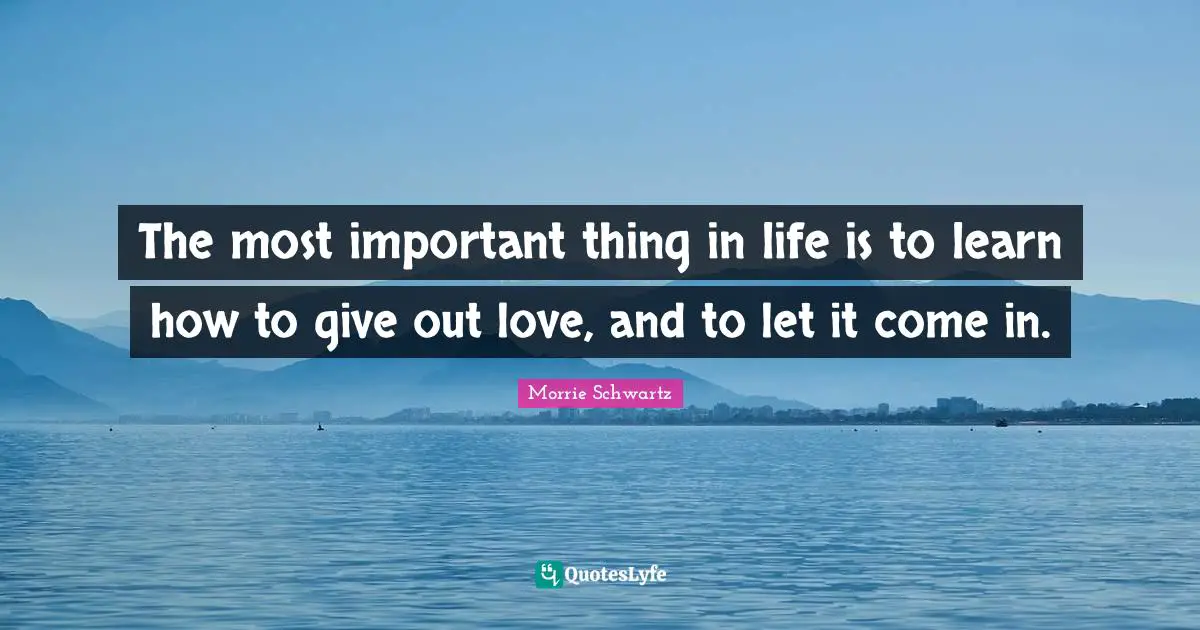 The most important thing in life is to learn how to give out love, and to let it come in.
