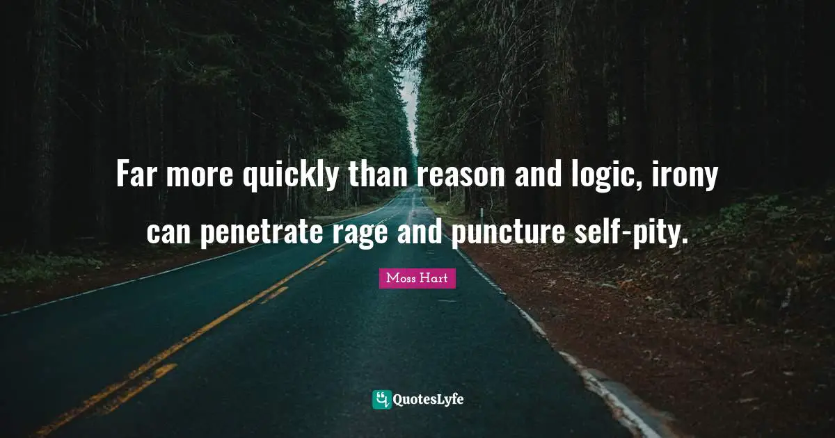 Far more quickly than reason and logic, irony can penetrate rage and puncture self-pity.