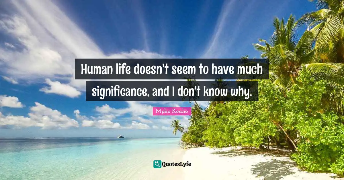 Human life doesn't seem to have much significance, and I don't know why.