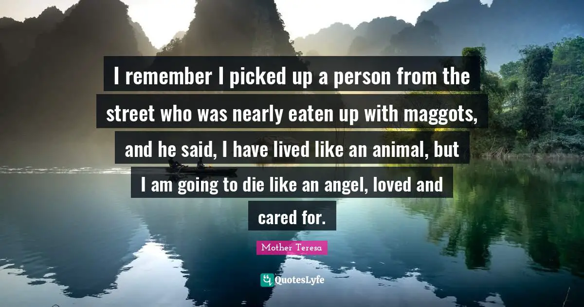 I remember I picked up a person from the street who was nearly eaten up with maggots, and he said, I have lived like an animal, but I am going to die like an angel, loved and cared for.