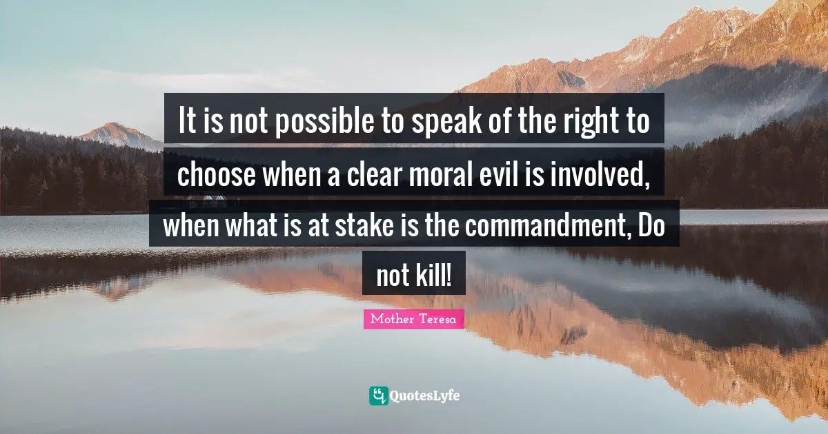 It is not possible to speak of the right to choose when a clear moral evil is involved, when what is at stake is the commandment, Do not kill!