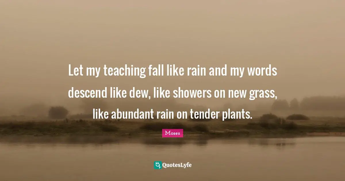 Dew Quotes: "Let my teaching fall like rain and my words descend like dew, like showers on new grass, like abundant rain on tender plants."