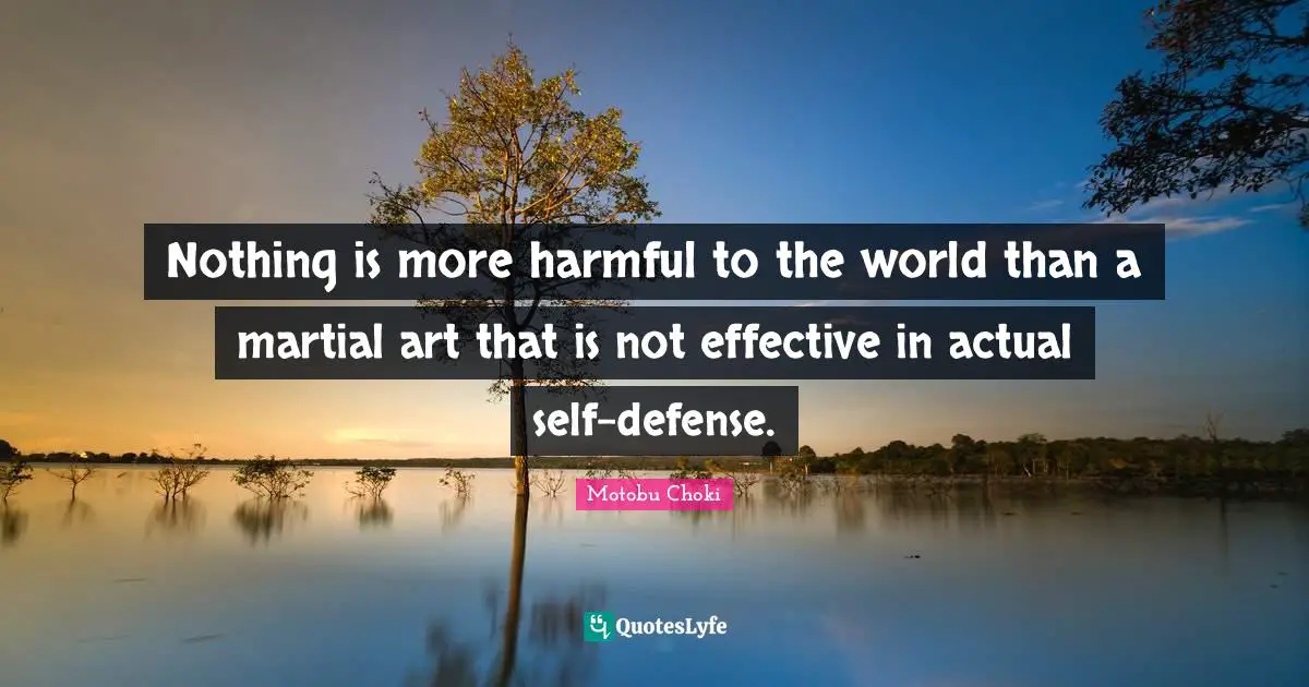 Nothing is more harmful to the world than a martial art that is not effective in actual self-defense.