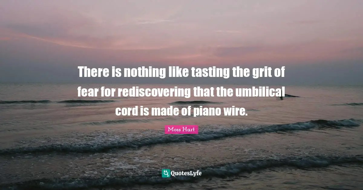 Grit Quotes: "There is nothing like tasting the grit of fear for rediscovering that the umbilical cord is made of piano wire."