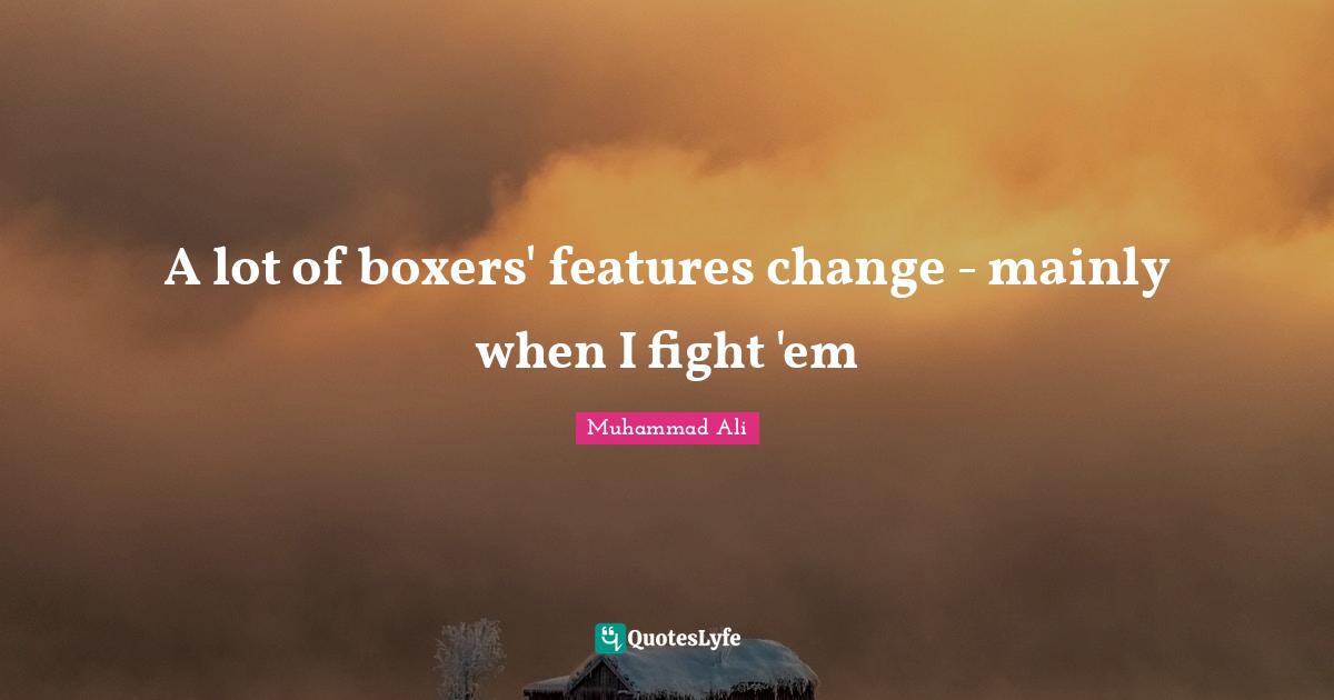 A lot of boxers' features change - mainly when I fight 'em
