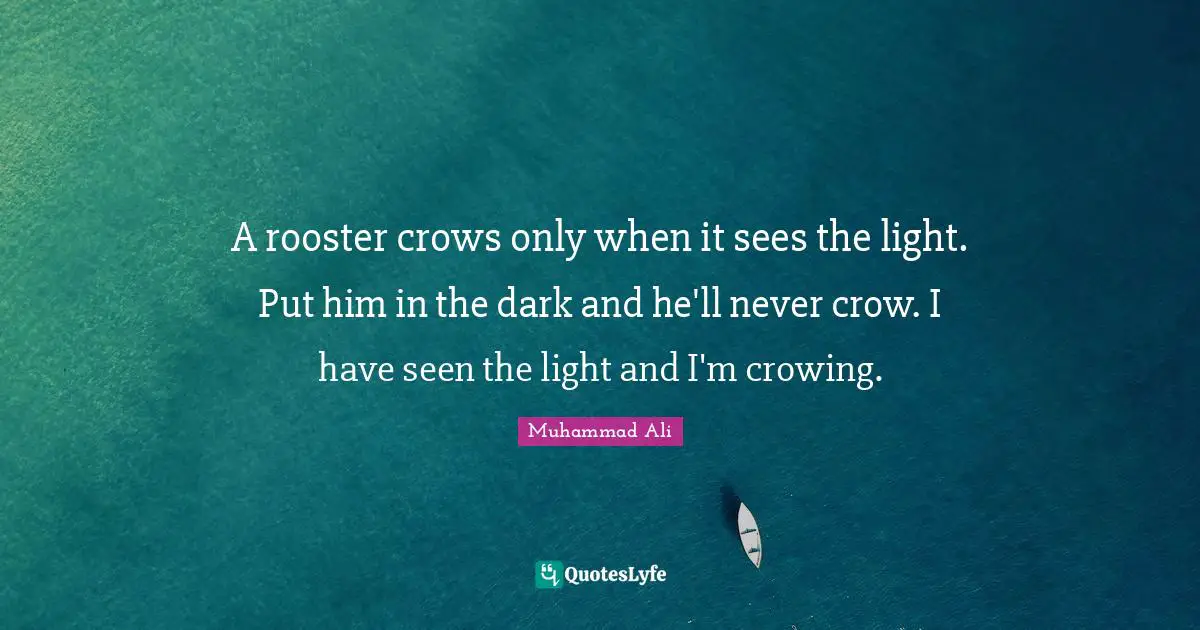 A rooster crows only when it sees the light. Put him in the dark and he'll never crow. I have seen the light and I'm crowing.