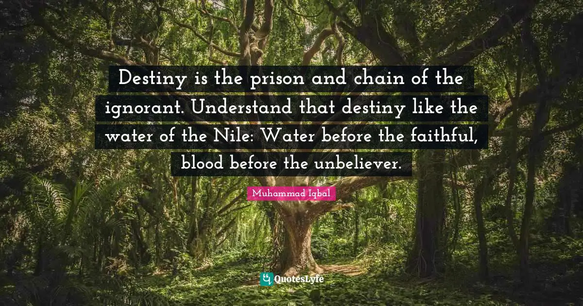 Destiny is the prison and chain of the ignorant. Understand that destiny like the water of the Nile: Water before the faithful, blood before the unbeliever.