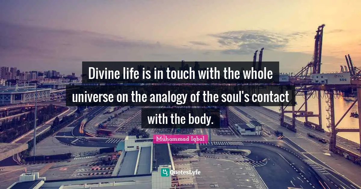 Divine life is in touch with the whole universe on the analogy of the soul's contact with the body.