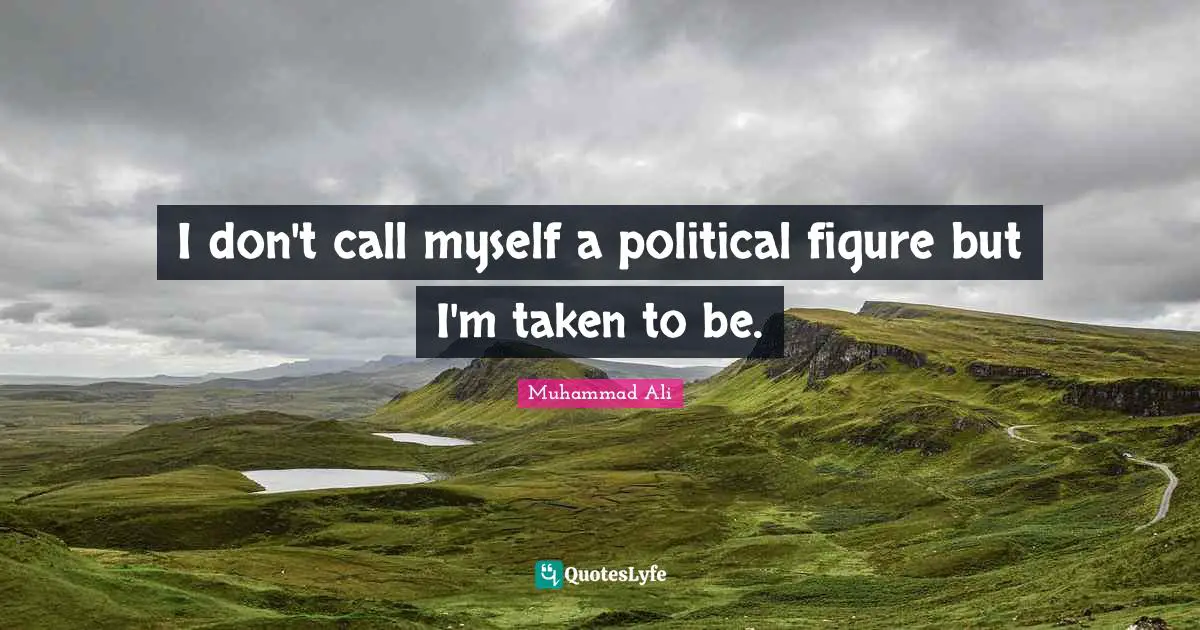 I don't call myself a political figure but I'm taken to be.