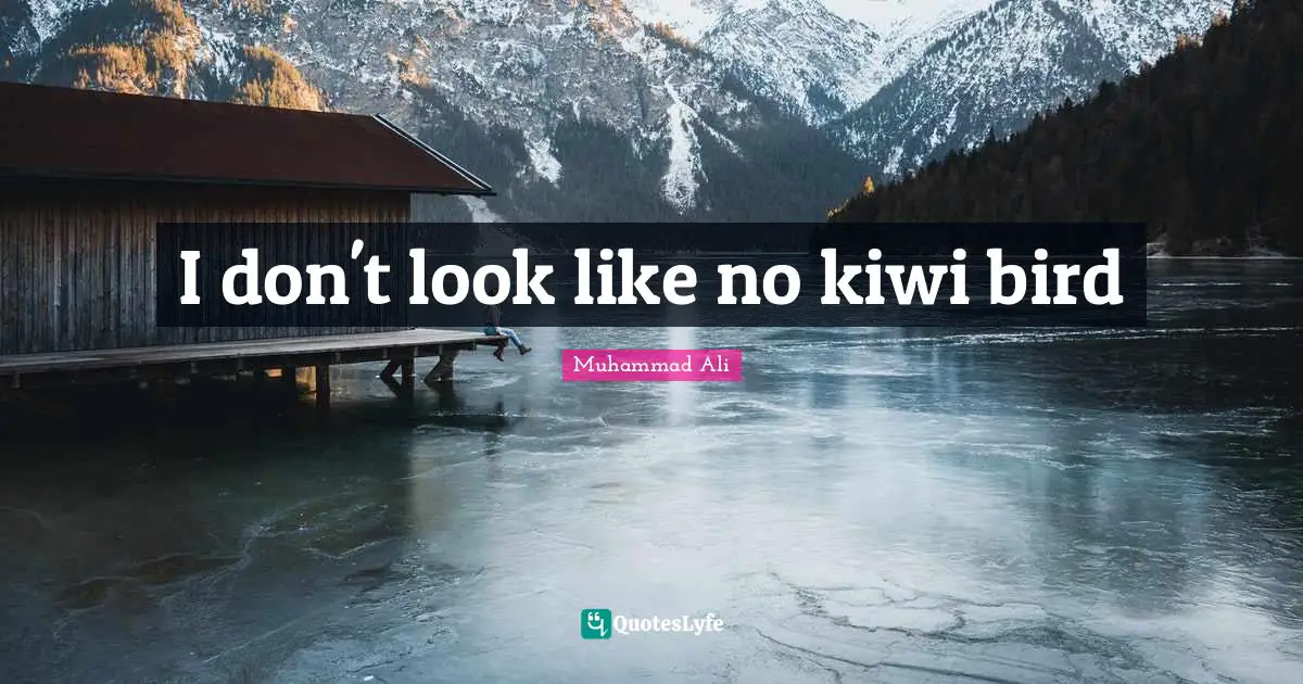 I don't look like no kiwi bird