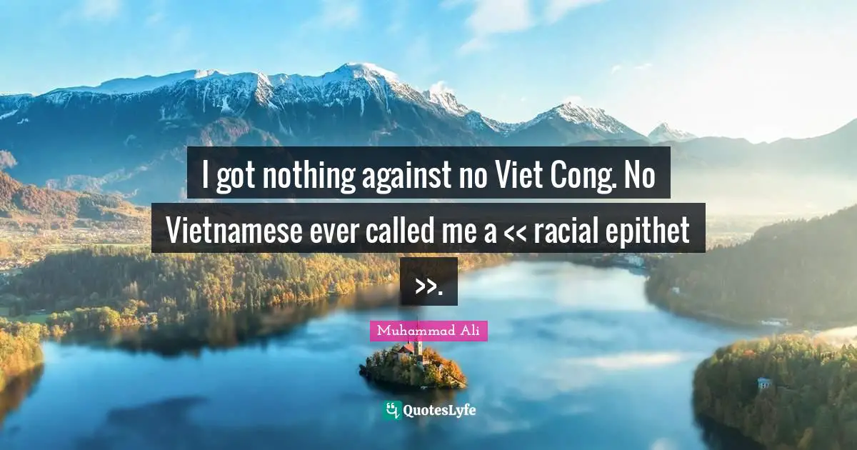 I got nothing against no Viet Cong. No Vietnamese ever called me a << racial epithet >>.