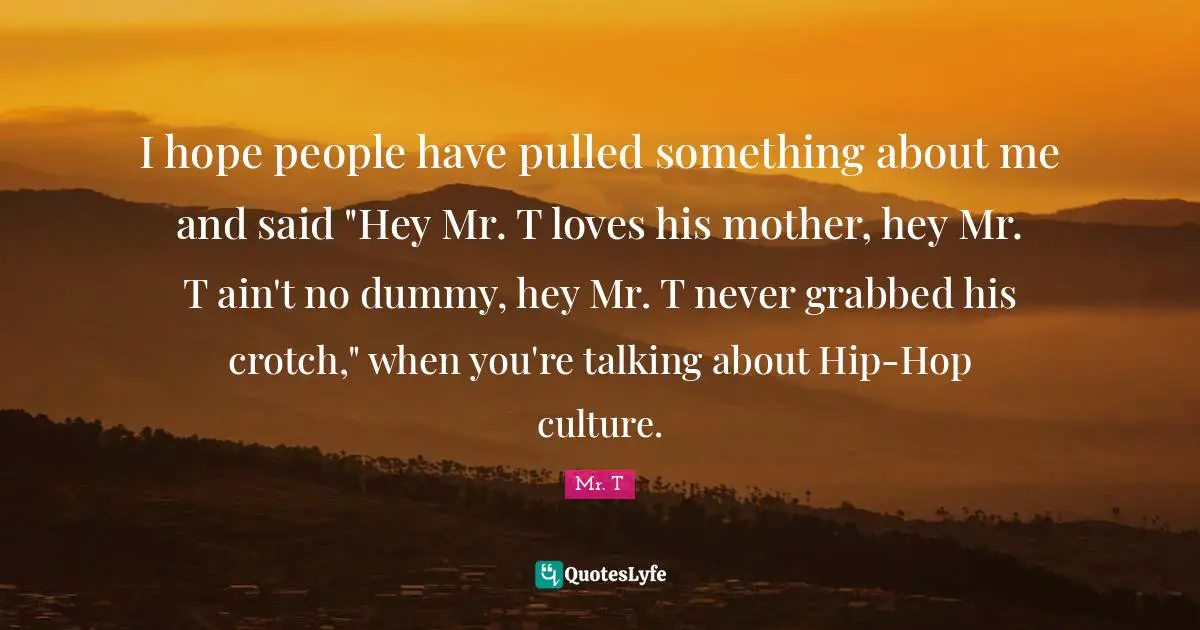 I hope people have pulled something about me and said "Hey Mr. T loves his mother, hey Mr. T ain't no dummy, hey Mr. T never grabbed his crotch," when you're talking about Hip-Hop culture.