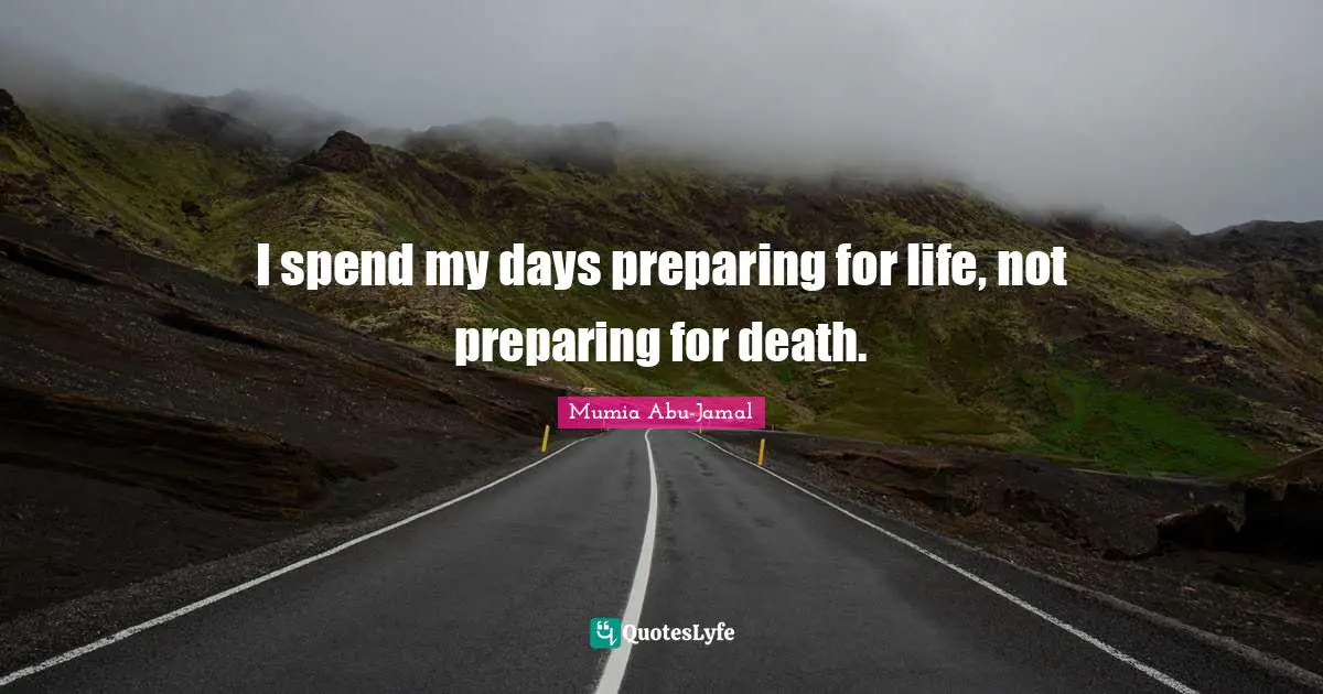 Mumia Abu-Jamal Quotes: "I spend my days preparing for life, not preparing for death."