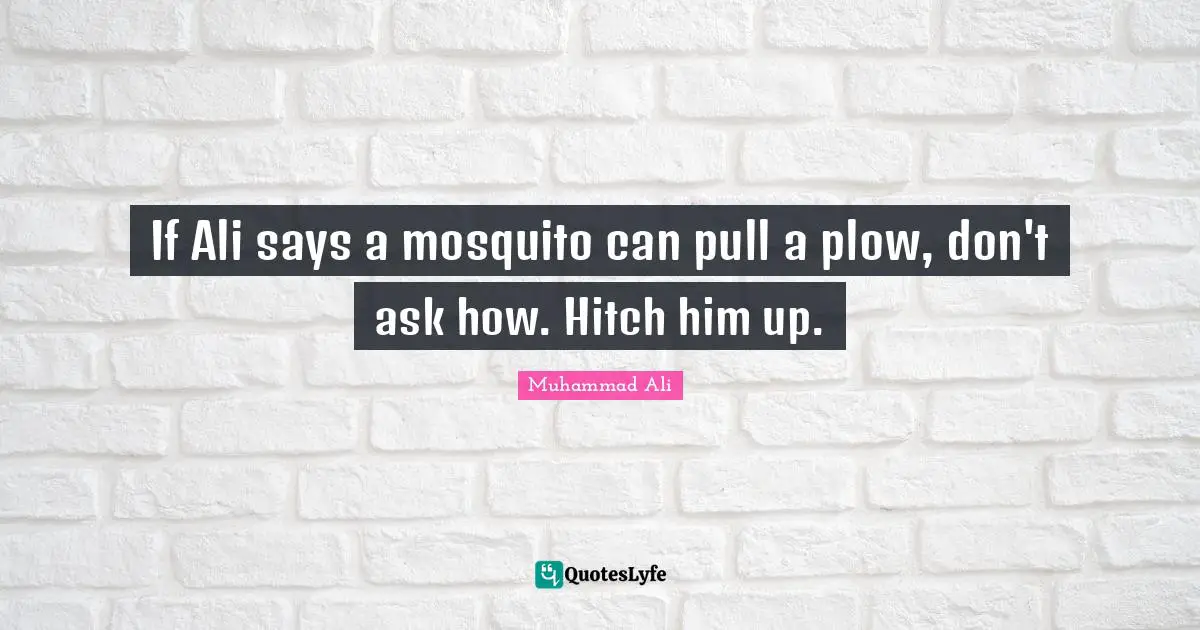 Mosquitoes Quotes: "If Ali says a mosquito can pull a plow, don't ask how. Hitch him up."